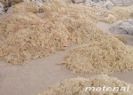 Latex Reclaimed Rubber